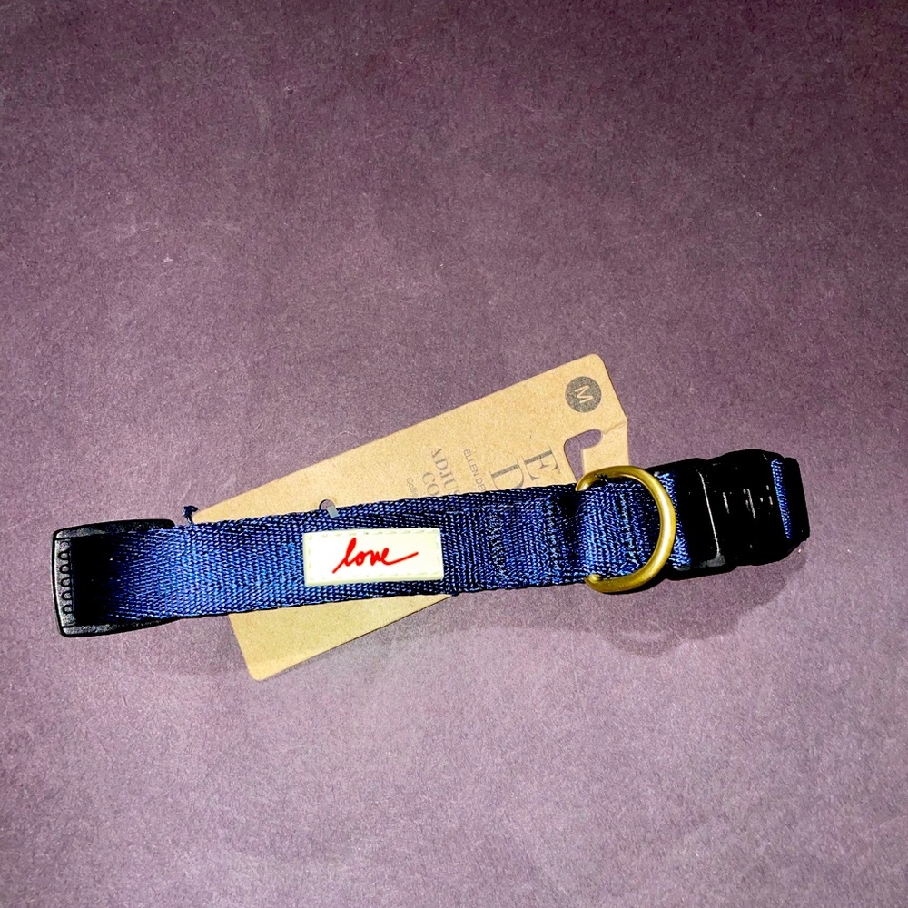 Ellen Degeneres Blue Dog Collar size M BNWT